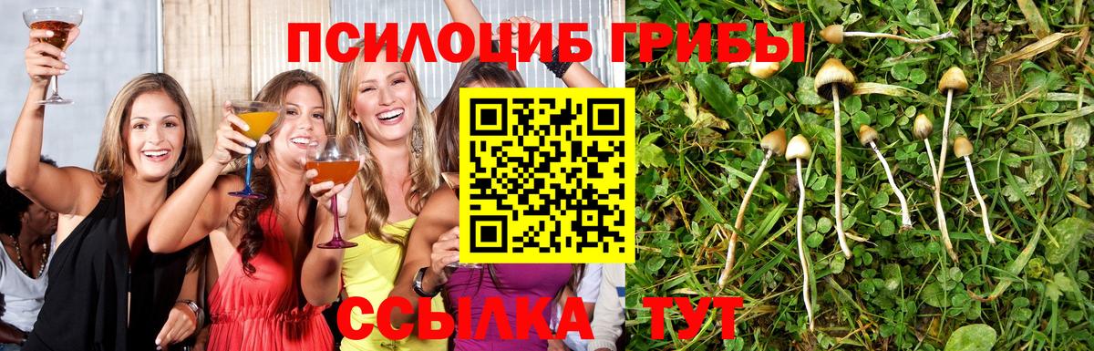 Галлюциногенные грибы GOLDEN TEACHER Каспийск
